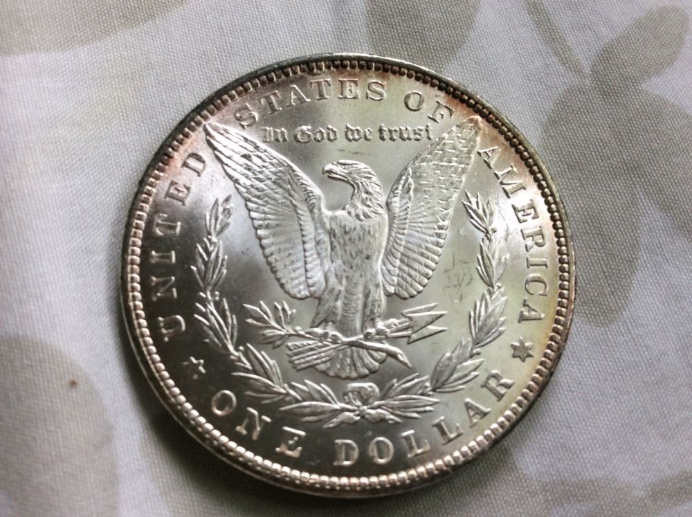 1888-Morgan-For-Grading