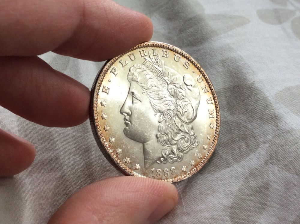 1888-Morgan-For-Grading