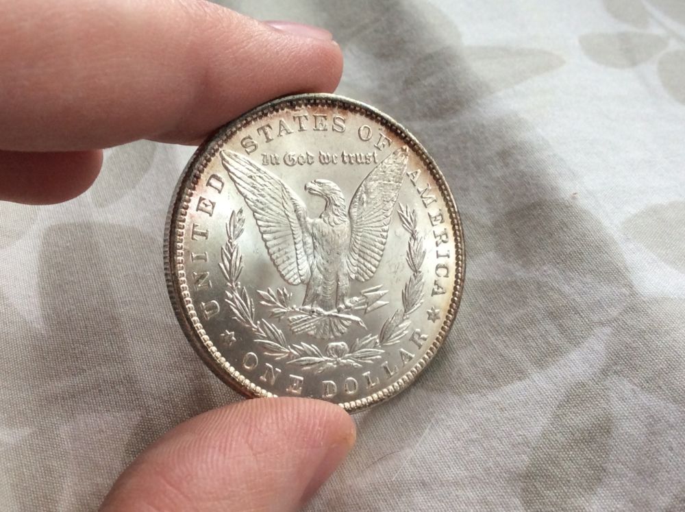 1888-Morgan-For-Grading
