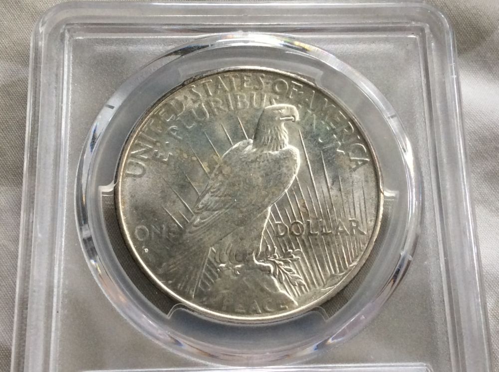 Acquisitions-From-My-First-Ever-Coin-Show