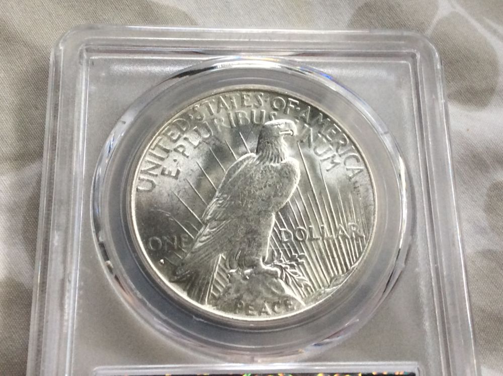 Acquisitions-From-My-First-Ever-Coin-Show