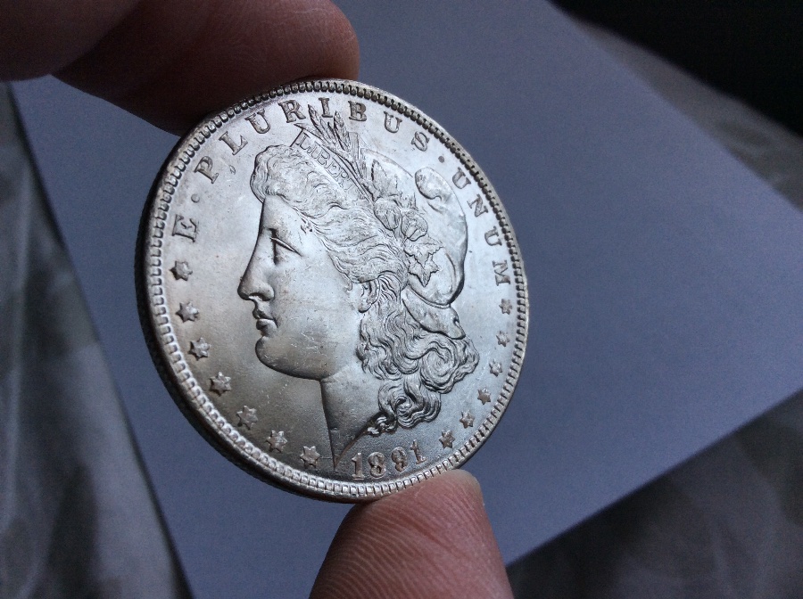 1891-Morgan-For-Grading