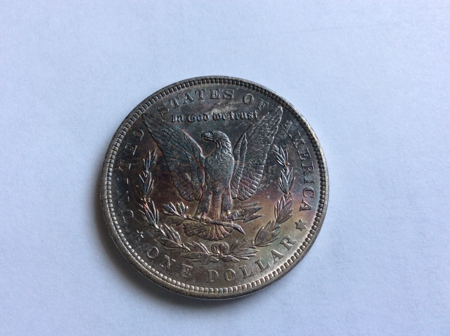 1891-Morgan-For-Grading