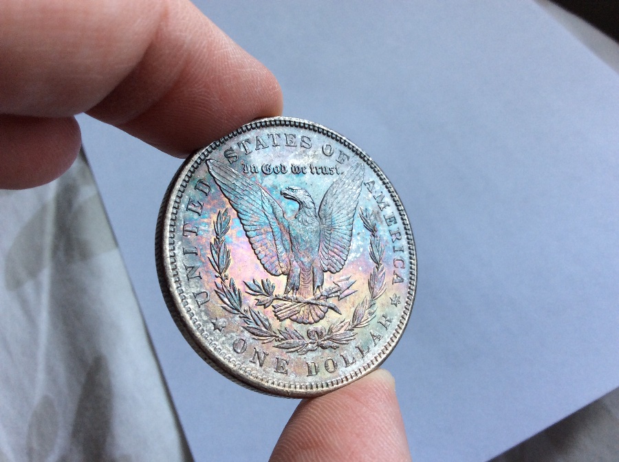 1891-Morgan-For-Grading