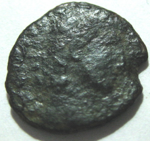 Need-Help-Iding-This-Ancient