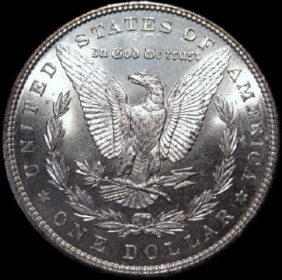 The-Incredible-100-Days-Of-19th-Century-US-Coins!