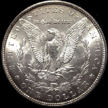 The-Incredible-100-Days-Of-19th-Century-US-Coins!