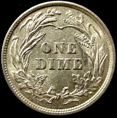 The-Incredible-100-Days-Of-19th-Century-US-Coins!