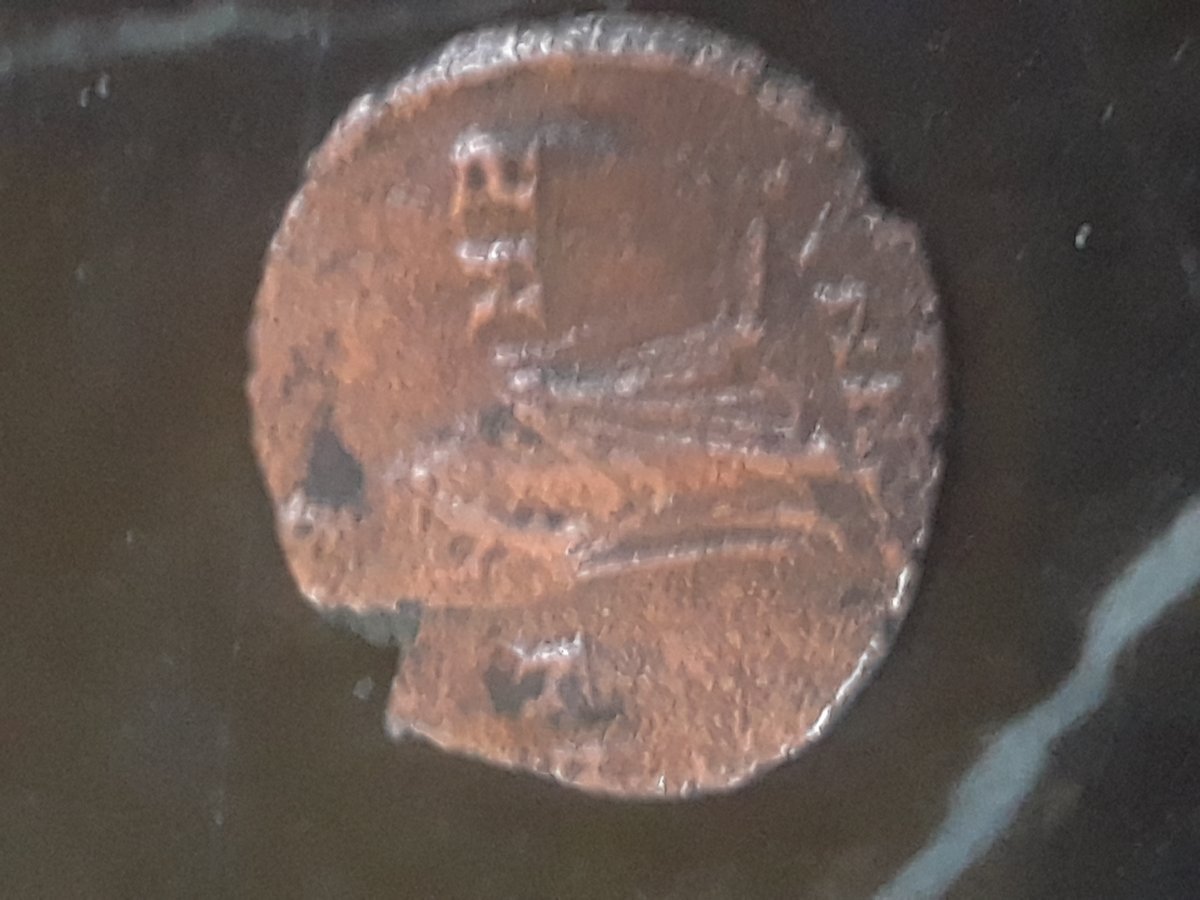 I-Need-Help-Identifying-These-Please!