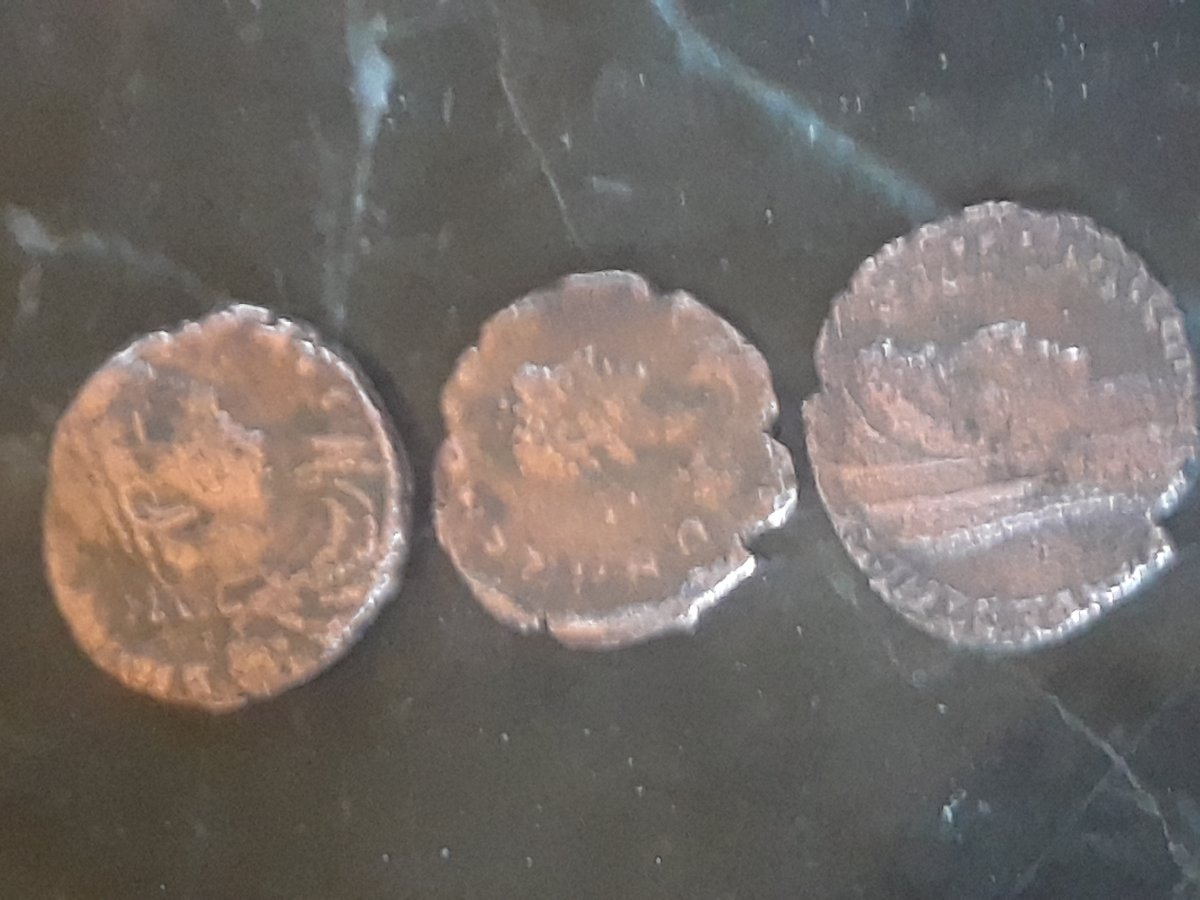 I-Need-Help-Identifying-These-Please!