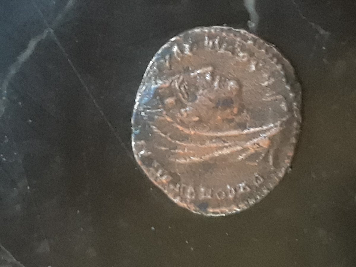 I-Need-Help-Identifying-These-Please!
