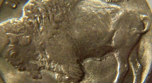 1938-D-Buffalo