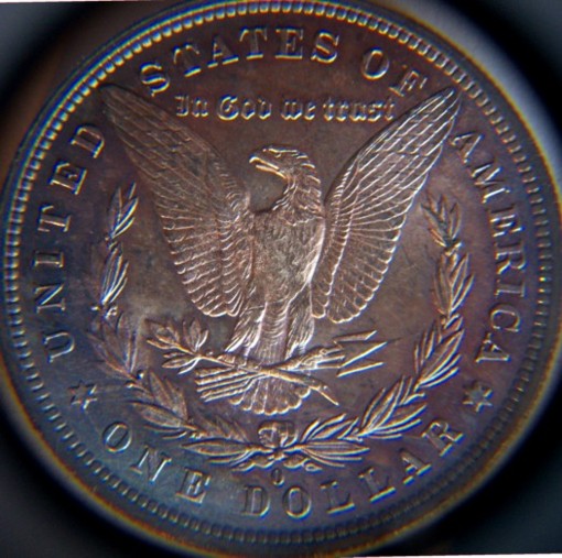 1881-O-Blue-Morgan