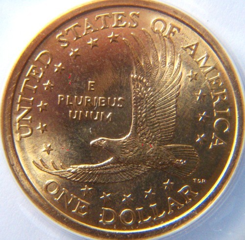 2007-P-Sacagawea-You-Vs.-ANACS