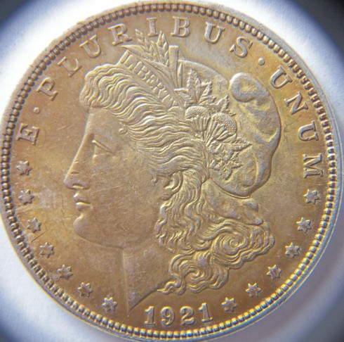 1921-Golden-Morgan--Several-Pics