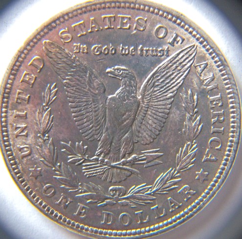 1921-Golden-Morgan--Several-Pics