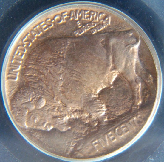 1913-P-Type-1-Buffalo-PCGS-OGH
