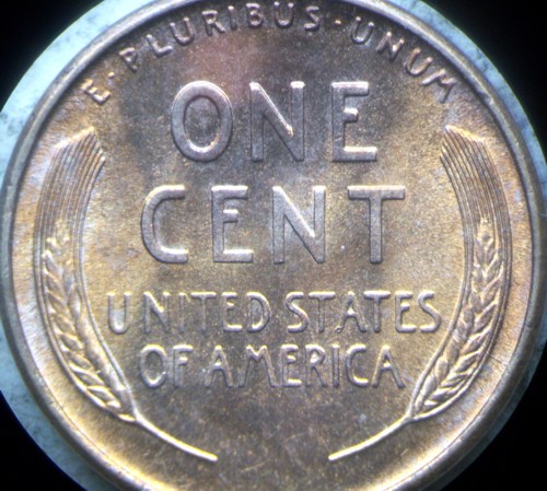 1909-S--VDB--Purchased-Grade-Edit