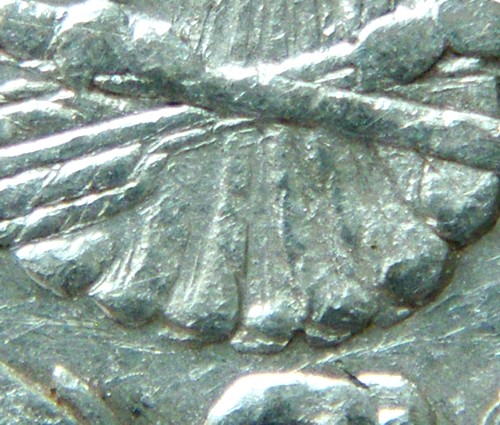 1878--Morgan-VAM-34--7-Over-8-Tail-Feathers