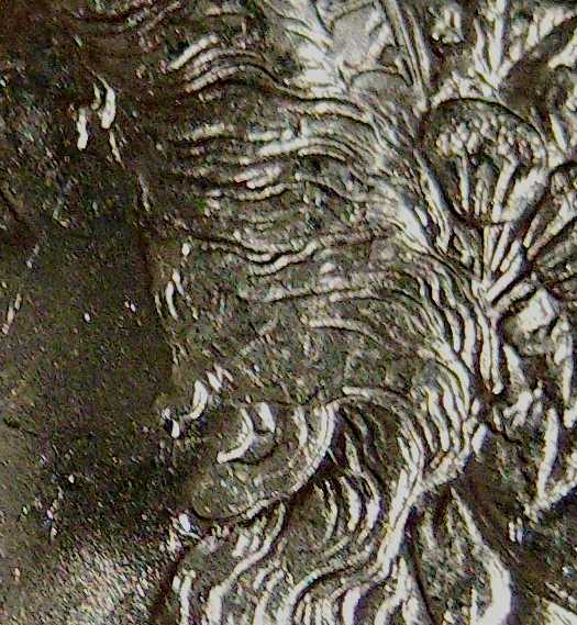 1894-O-Morgan-$1