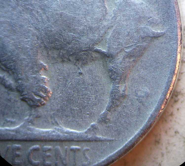1936-Buffalo-Counterfeit-Or-Die-Trial