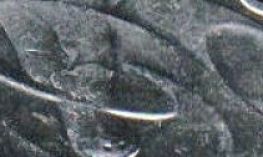 Have-I-Found-A-2008-20-Cent-'Gap'?
