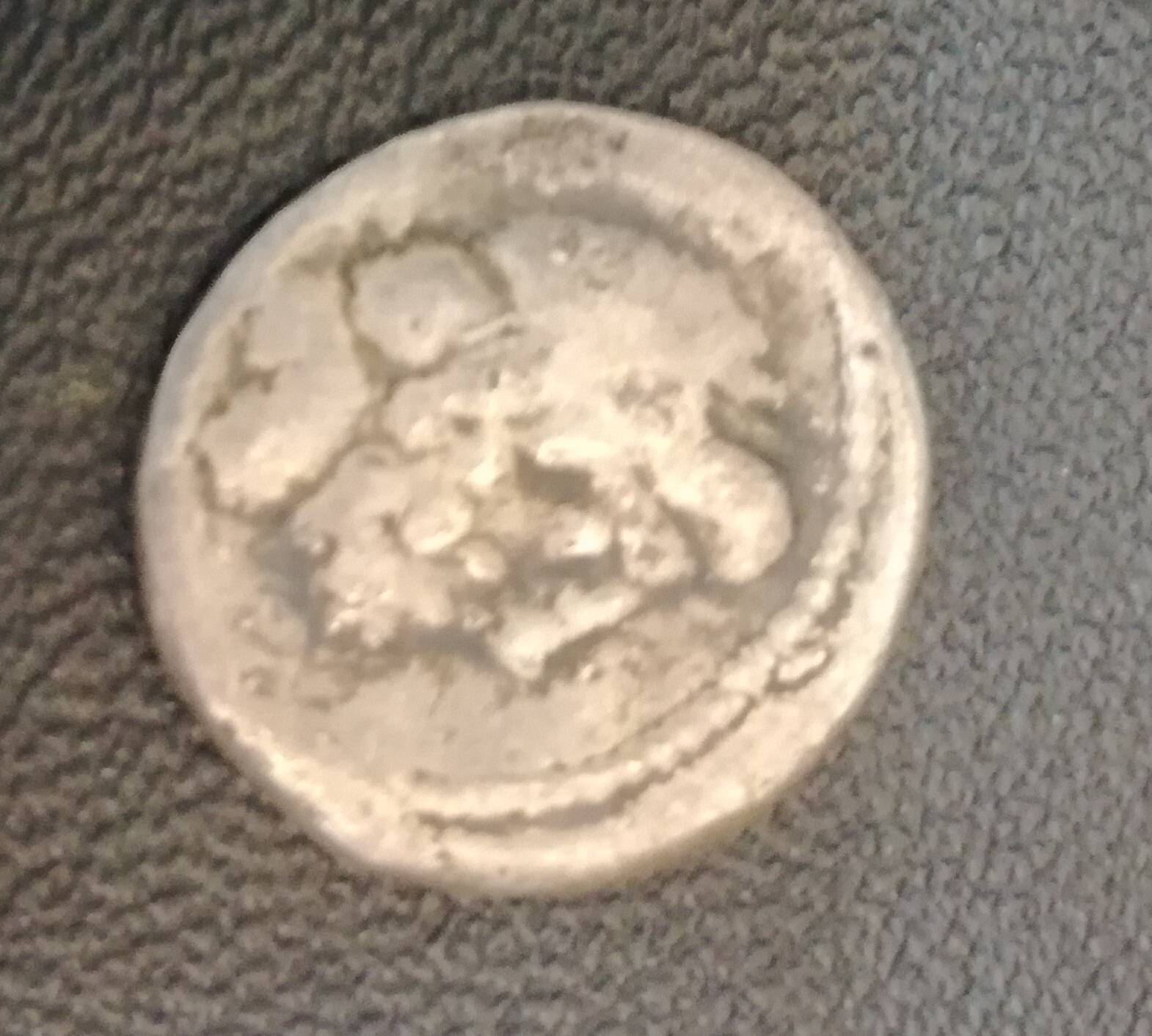 Found-All-Of-These-Roman-Coins-At-A-Local-Jewelery-Store-Part-1