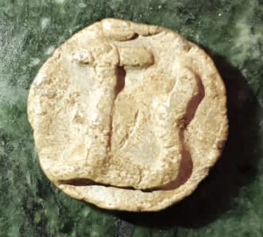 HI-Everyone,-Is-This-A-Coin?