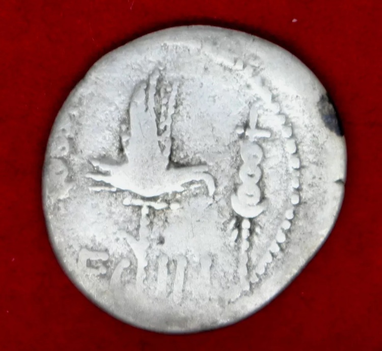 Mark-Antony-Legionary-Denarius-Leg-III-Genuine?