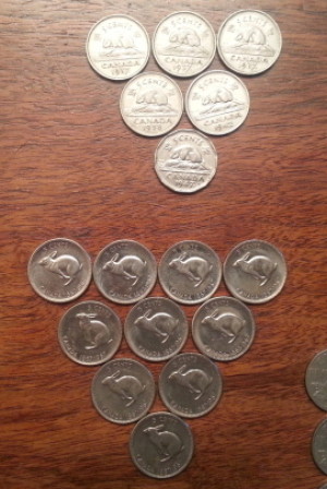 Any-Canadian-Roll-Hunter-Ever-Gotten-This?