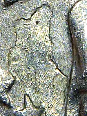 Bicentennial-Quarter-Error?-Reverse-1976-D