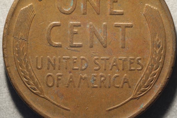 1941-LWC---Strikethrough-Error