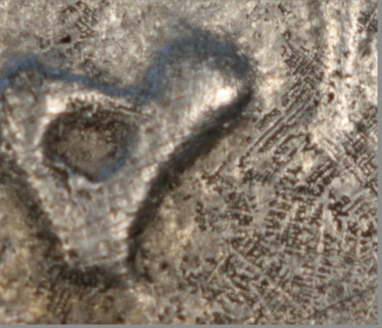 1884-O-Morgan-Dollar---Die-Break?