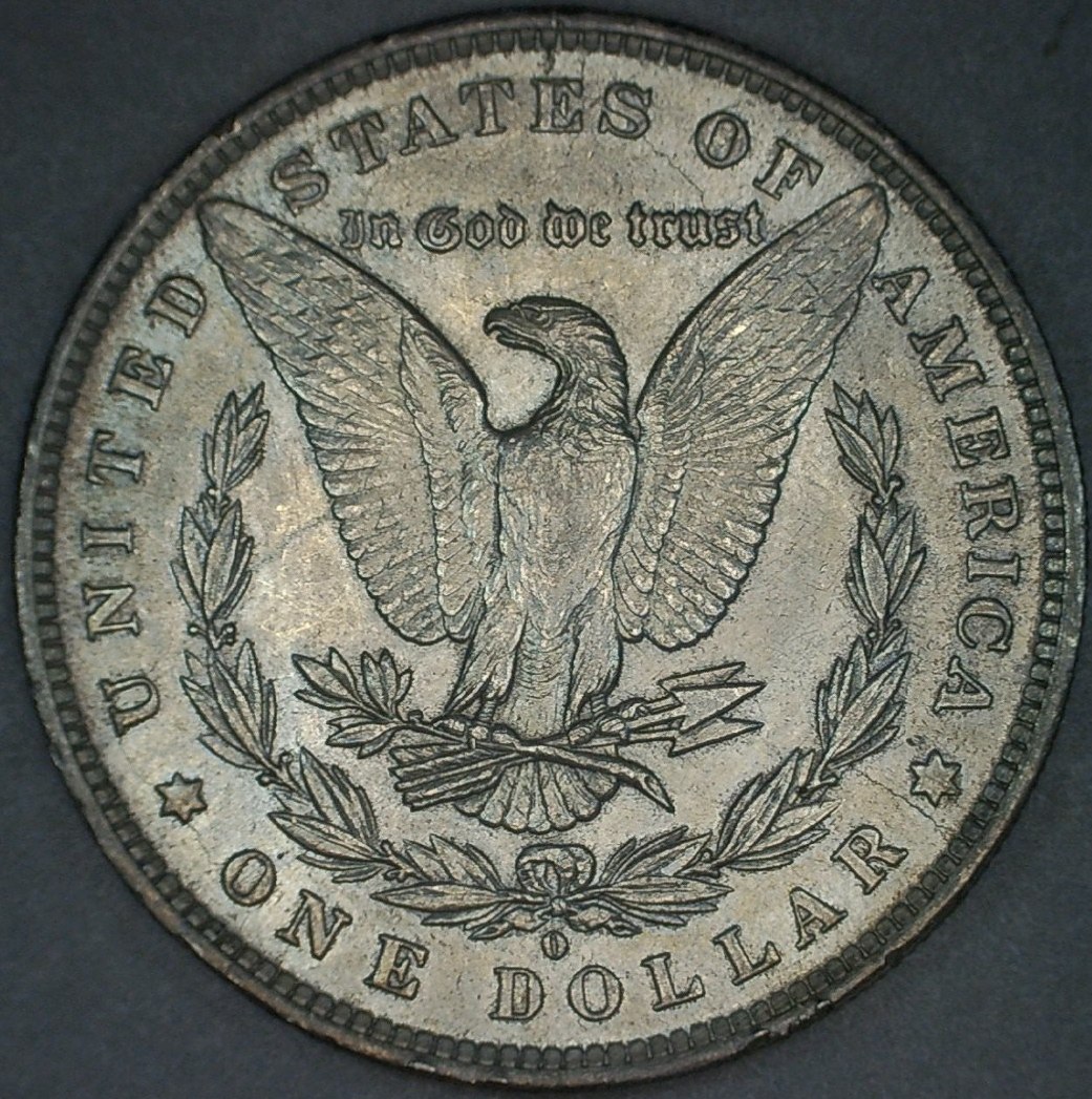 Morgan-1884-O-VAM19B-Grade-Opinion---New-Pics