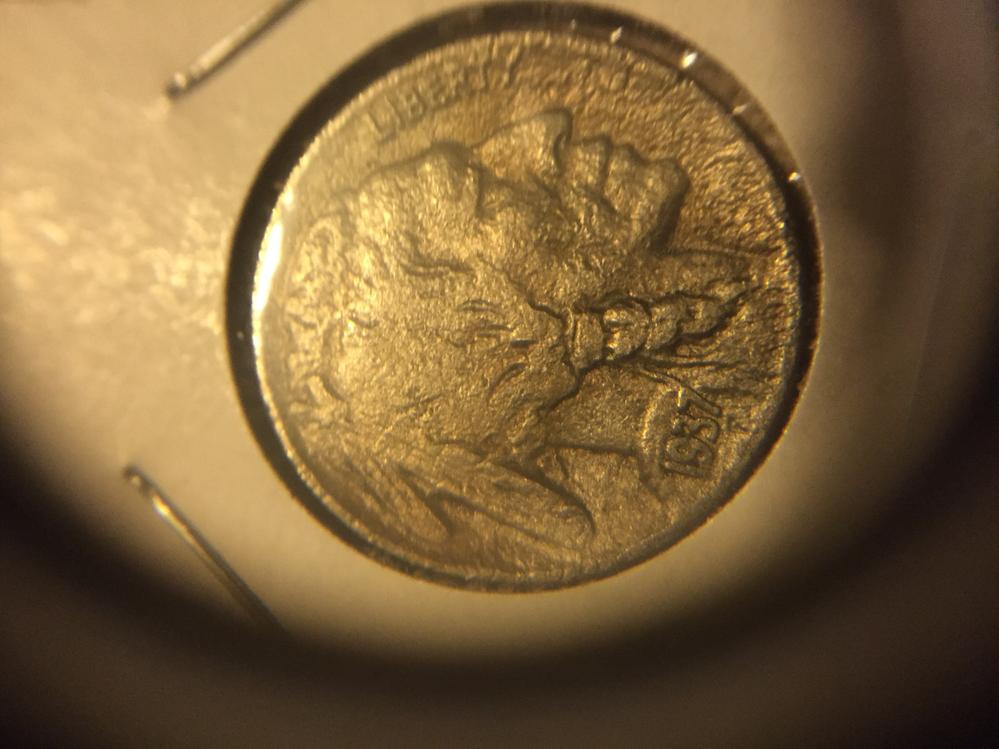 Unknown-Buffalo-Nickel-Error-1937-P