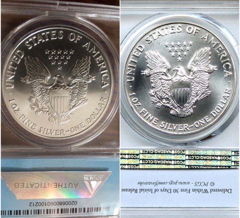 1991-ASE-ANACS-MS-70-Looks-Suspect-Next-To-PCGS-Example...thoughts?