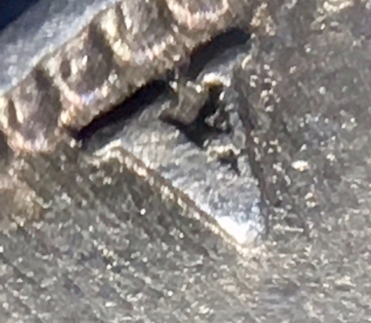 1872-H-Canada-25-Cent-A/V---N/N---Obverse-Die-1?