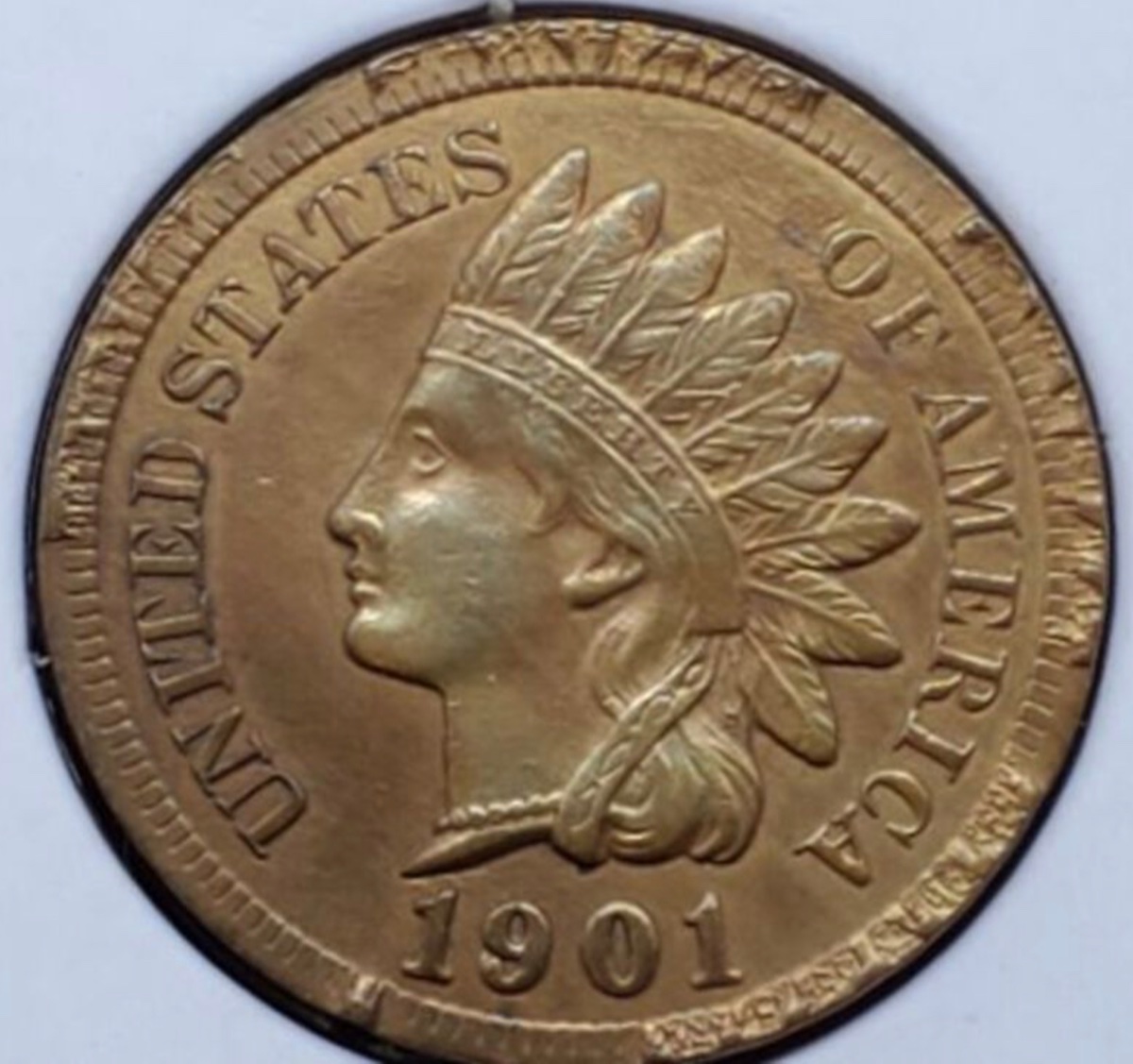 1901-Indian-Head-Cent-W/-Rim-Anomalies.......error?