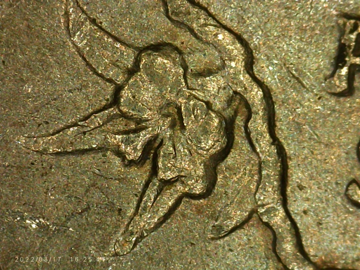2000-South-Carolina-State-Quarter-Error