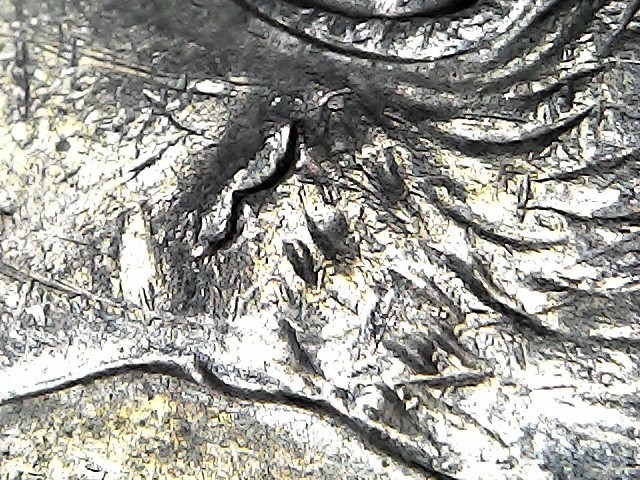 Just-Two-Questions-From-My-Error-Studies-On-Error-Ref-2005-P-Dime