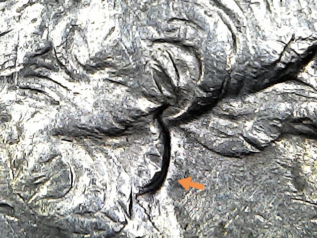 1994-D-Quarter-Possible-DDO,-DDR-And-MD?