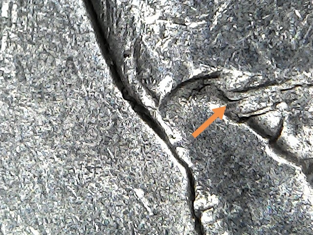 1994-D-Quarter-Possible-DDO,-DDR-And-MD?