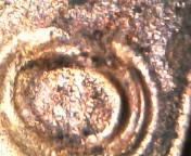 Possible-2021-Lincoln-Cent-DDO?