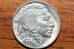 1938-D/D/S-Buffalo-Nickel?