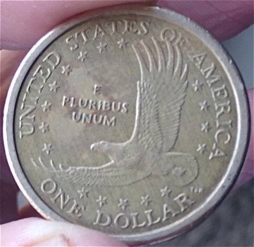 Came-Across-This-2000-P-Sacagawea-Experimental-Rinse-Coin-Today