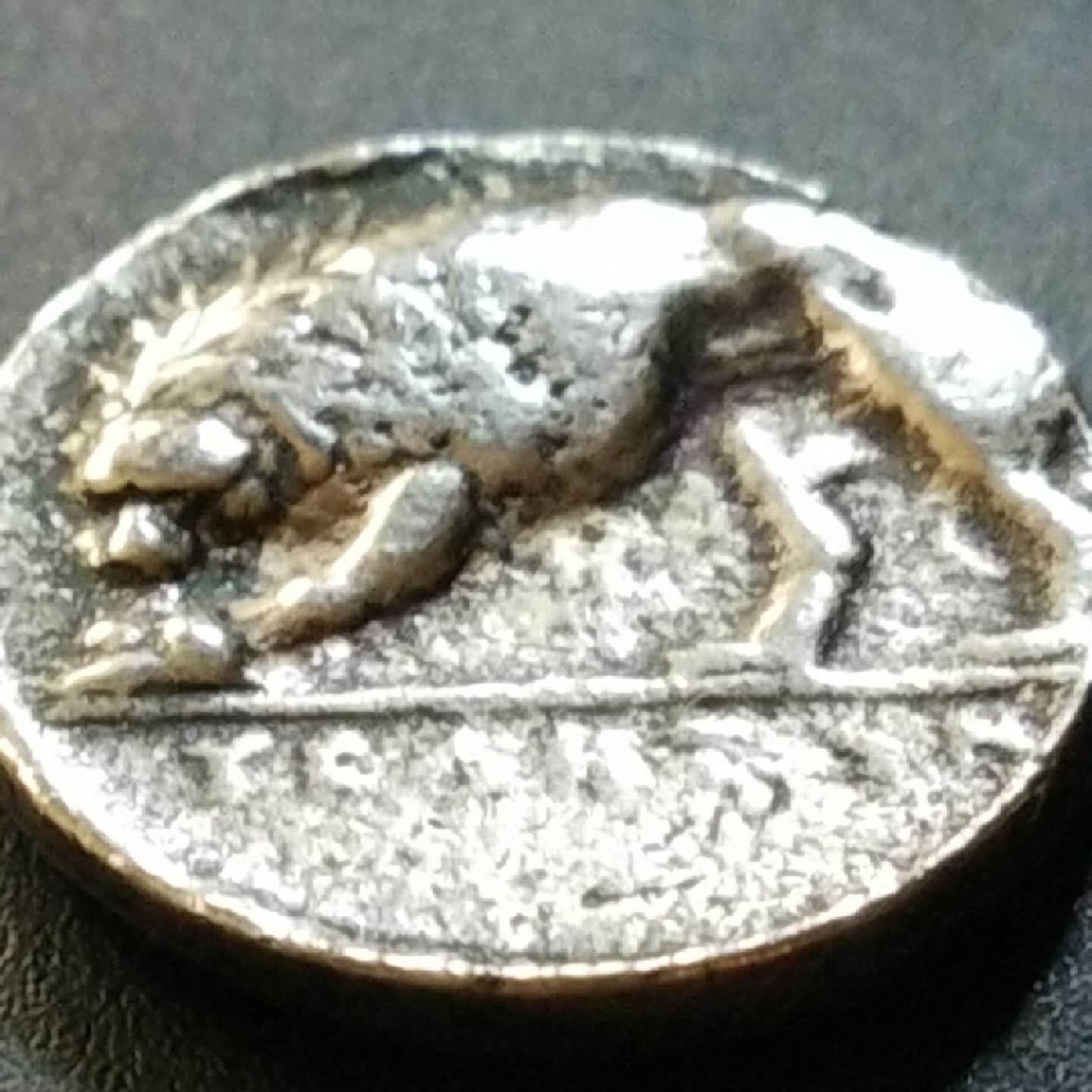 Velia,-Lucania-Silver...-Not-Sure-If-It's-Authentic