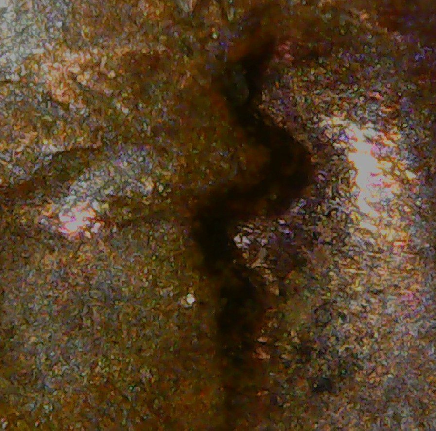 1964-D-LMC-Double-Eyelid