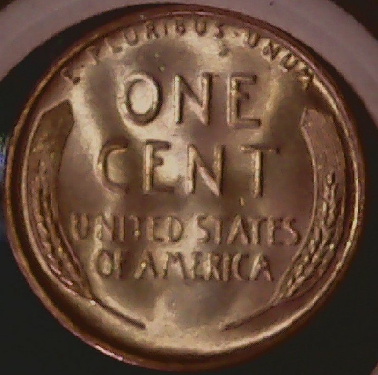 Are-These-Uncirculated-1955-S-Wheatbacks-The-Real-Deal?