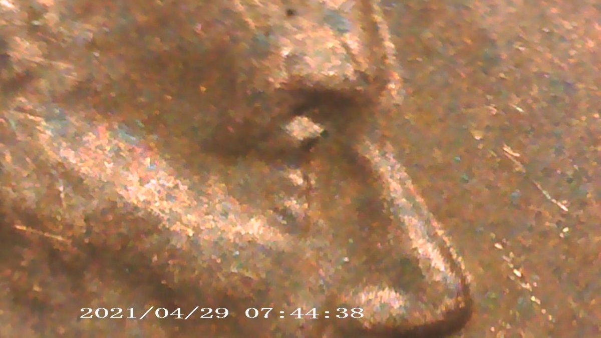 2019-D-LSC-With-Possible-Doubling-In-The-Date