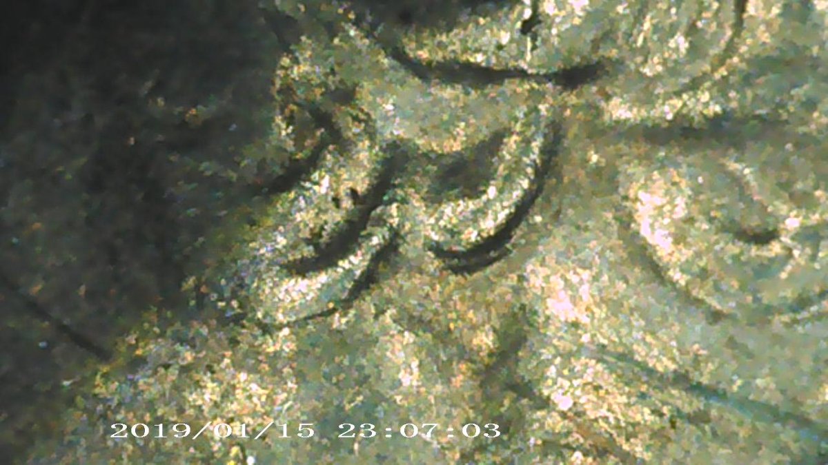 1976-Bicentennial-Quarter-DDO?
